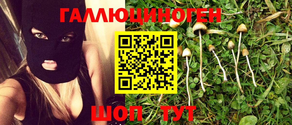 Галлюциногенные грибы ЛСД Каменск-Уральский